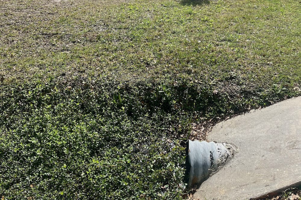 Photo of Outdoor in Mandarin