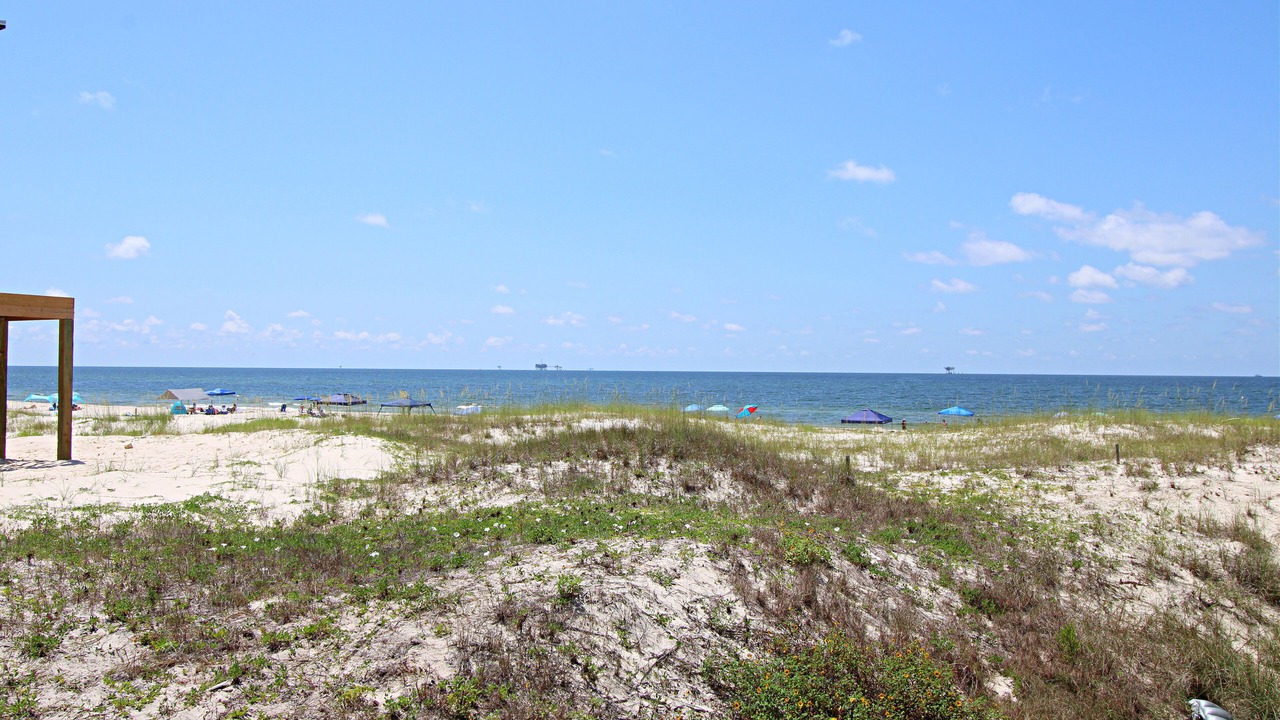 Photo of Others in Fort Morgan