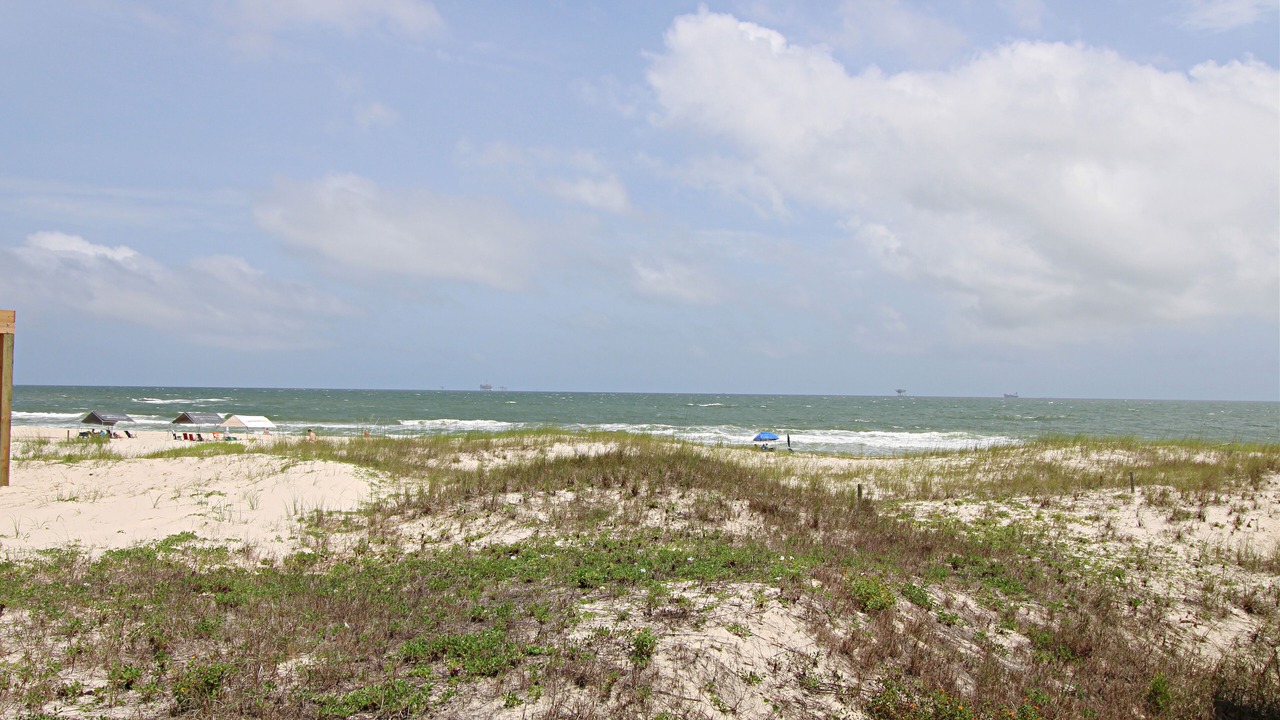 Photo of Others in Fort Morgan