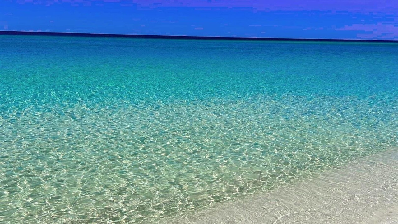 Photo of Others in White's Gulfview