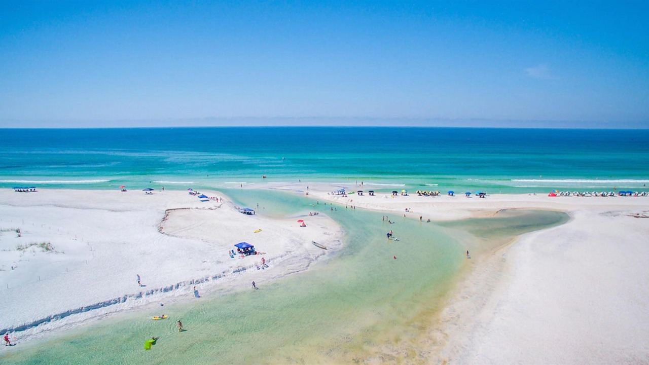 Photo of Others in White's Gulfview