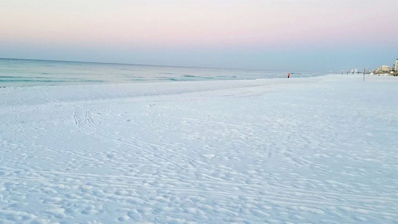 Photo of Others in White's Gulfview