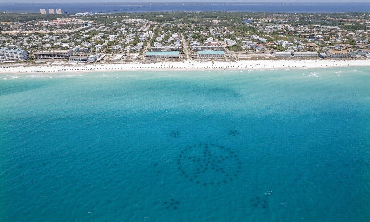 Photo of Others in Crystal Beach