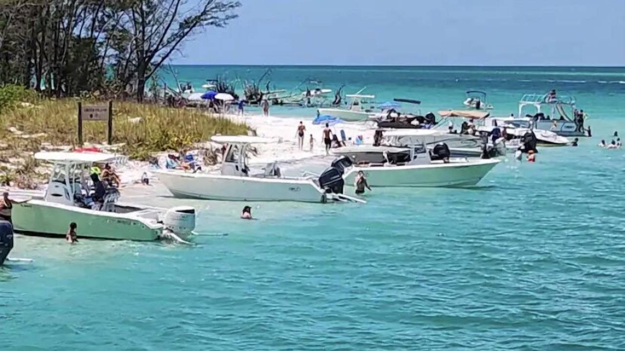 Photo of Outdoor in Whitney Beach