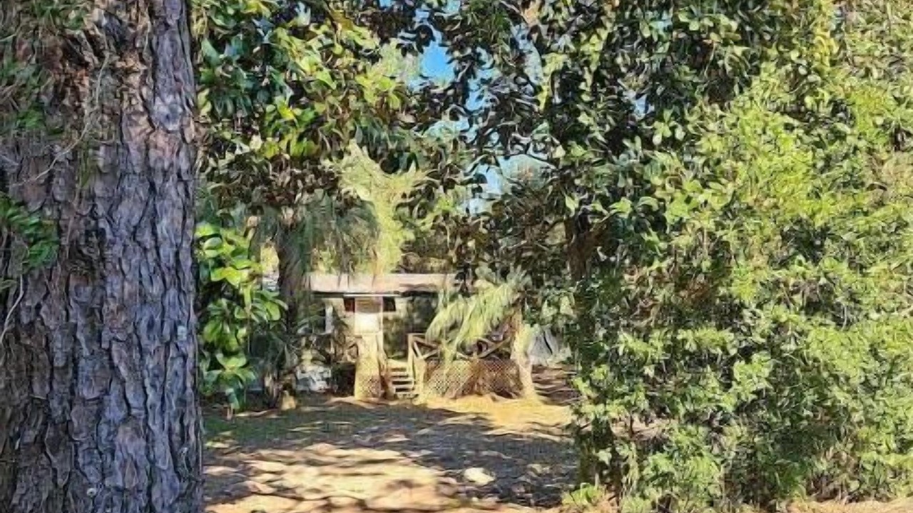 Photo of Outdoor in Lillian