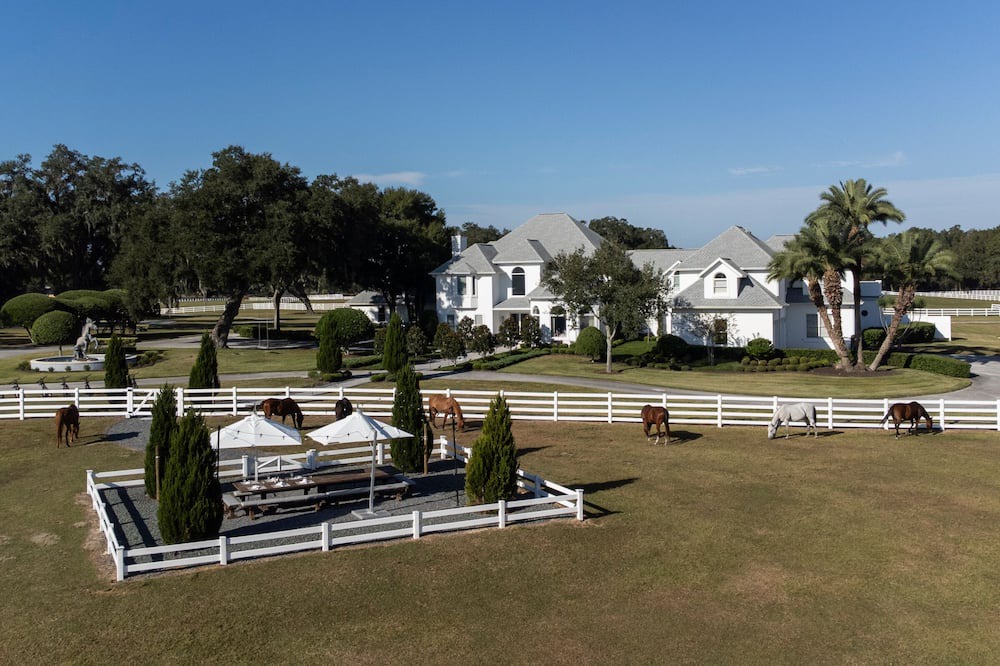 Photo of Others in Ocala