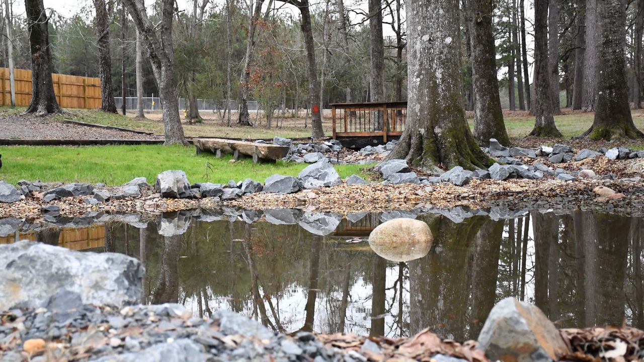 Photo of Outdoor in Chatham
