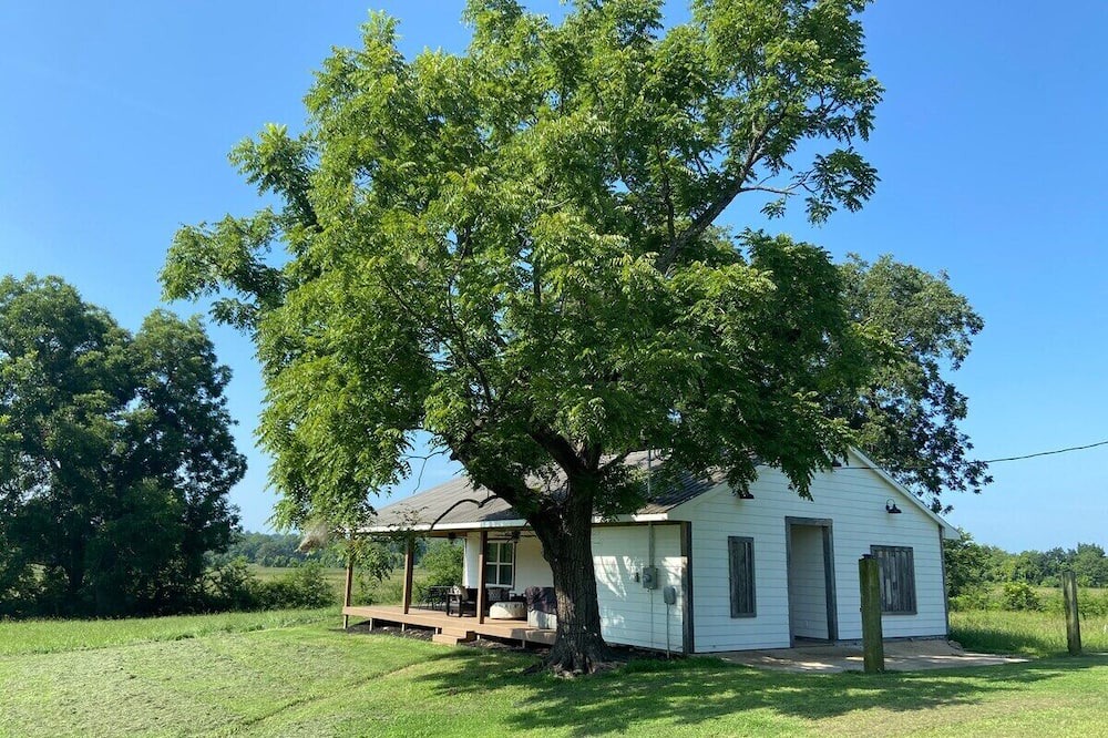 Photo of Outdoor in Starkville