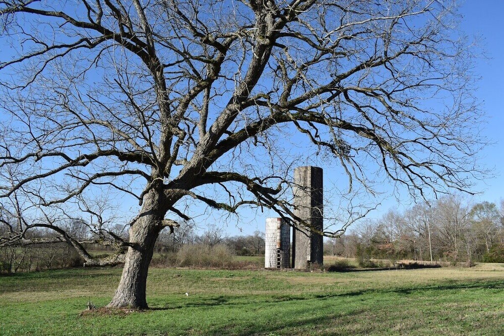 Photo of Outdoor in Starkville