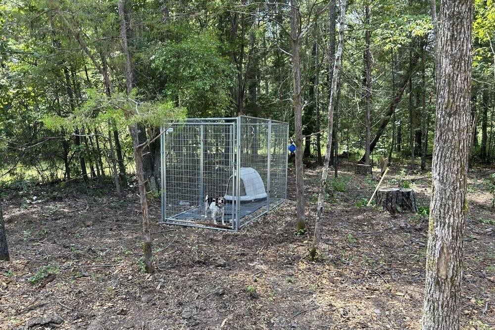 Photo of Outdoor in Starkville