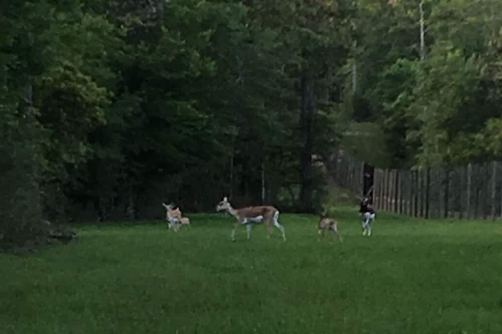 Photo of Outdoor in Bon Wier