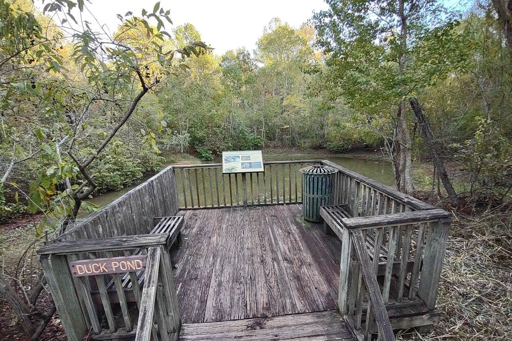 Photo of Others in West Livingston