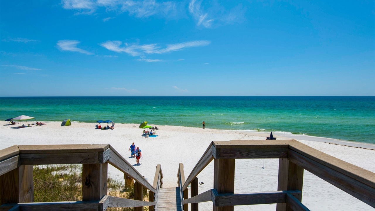 Photo of Others in White's Gulfview