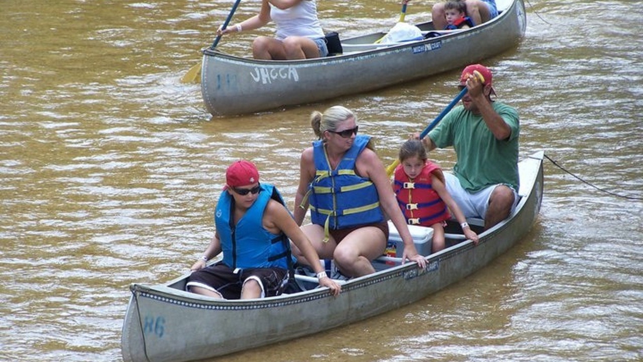 Photo of Others in Harold