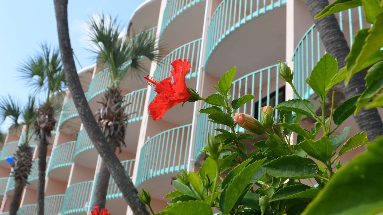 Photo of Outdoor in Bahama Beach