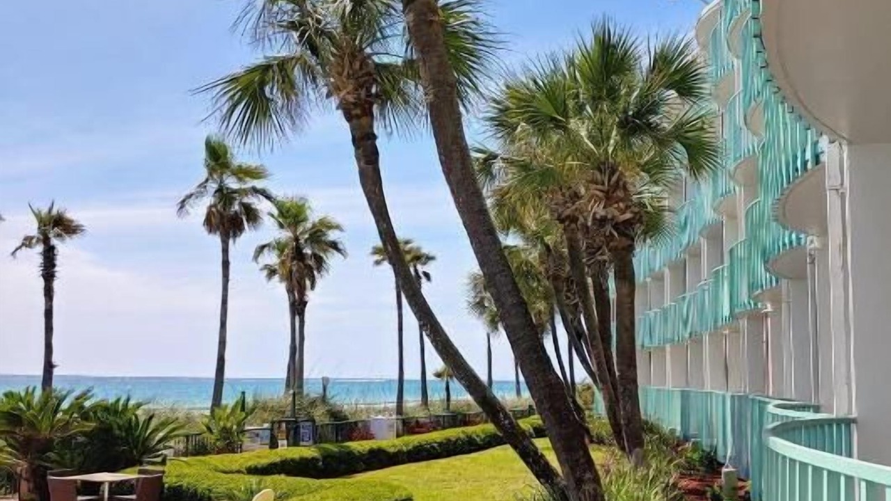 Photo of Outdoor in Bahama Beach