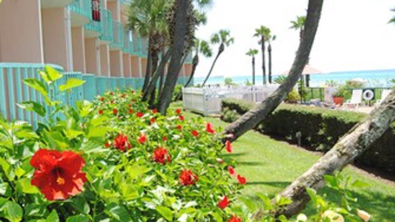 Photo of Outdoor in Bahama Beach