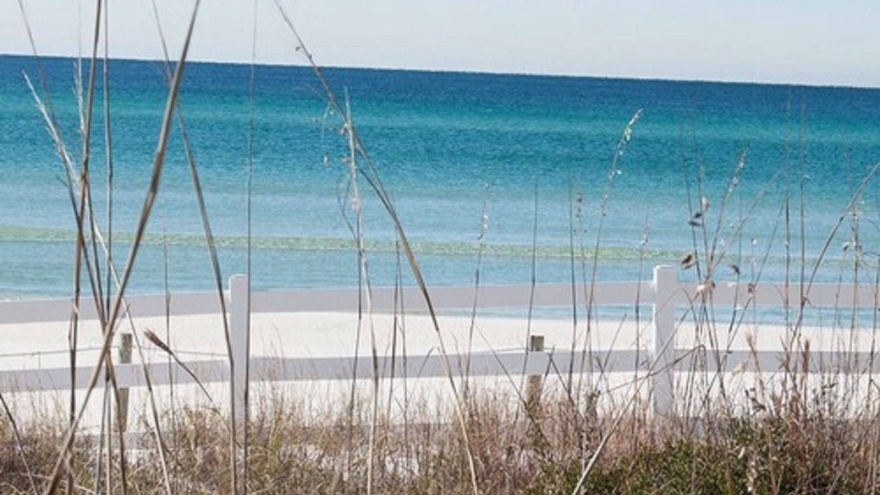 Photo of Others in Bahama Beach