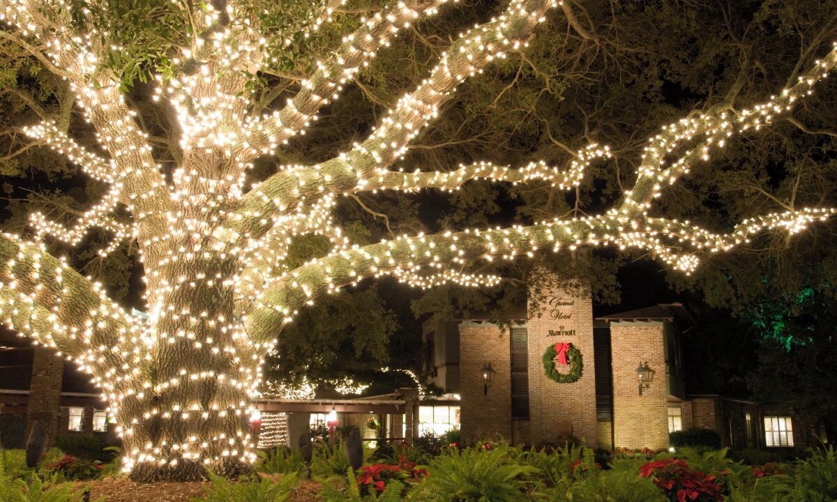 Photo of Outdoor in Fairhope