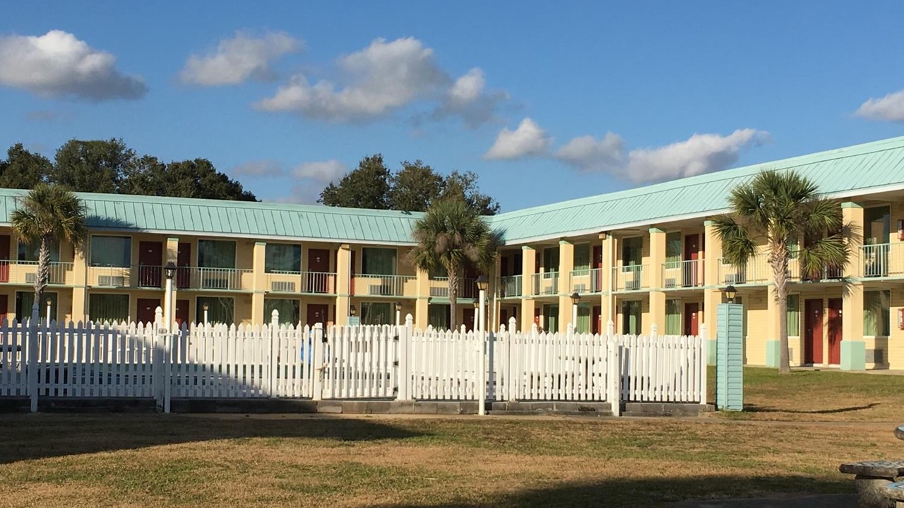 Photo of Outdoor in Pine Forest