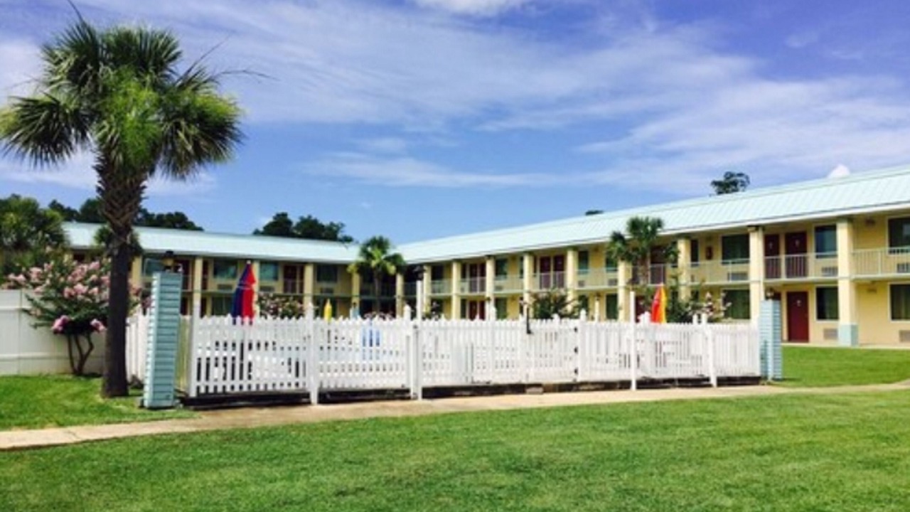 Photo of Outdoor in Pine Forest
