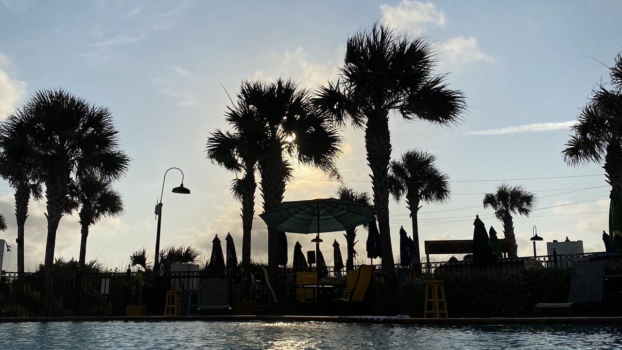 Photo of Outdoor in Neptune Beach
