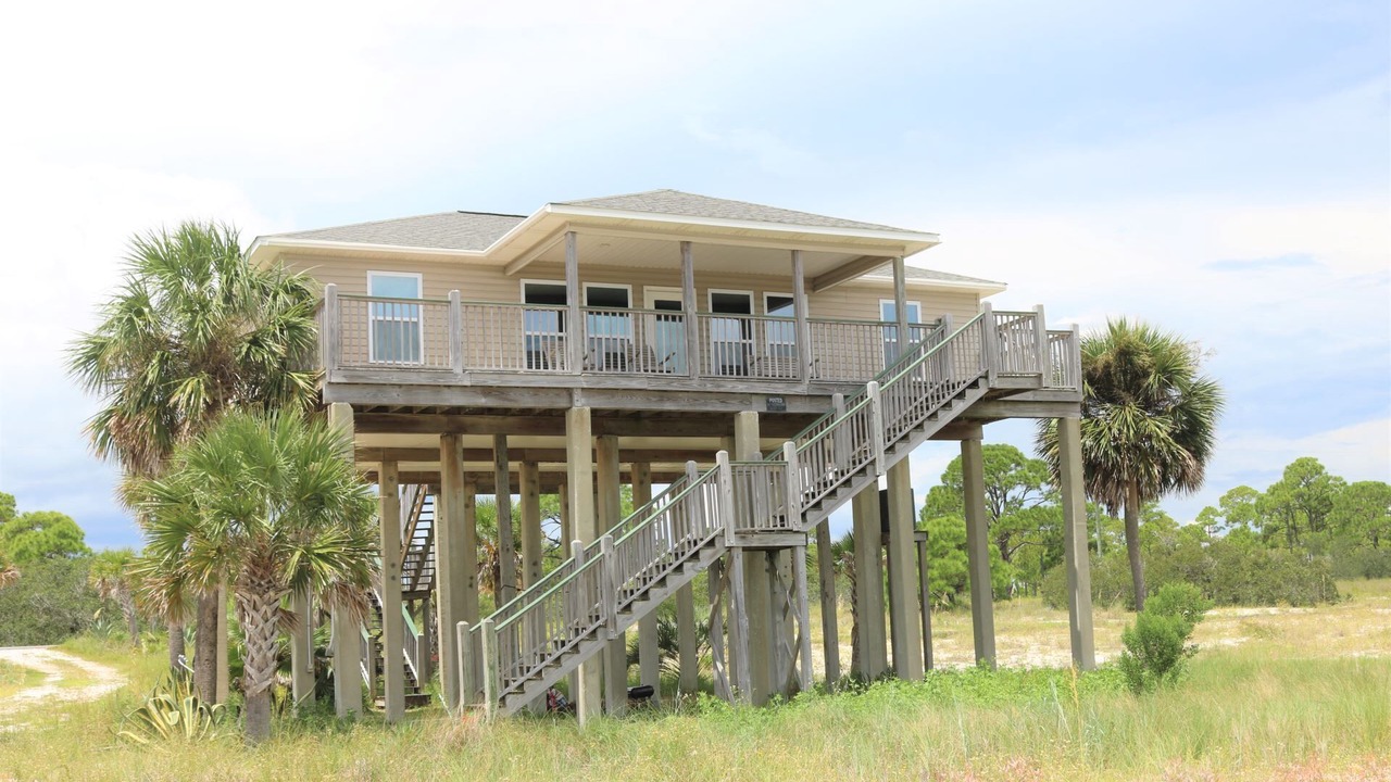 Photo of Outdoor in Alligator Point
