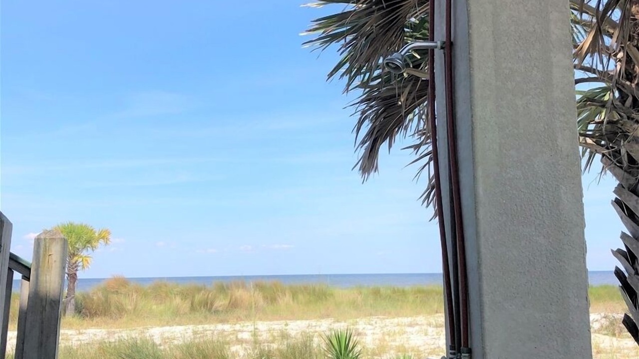 Photo of Others in Alligator Point
