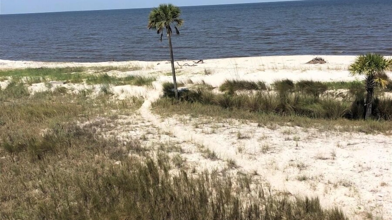 Photo of Others in Alligator Point