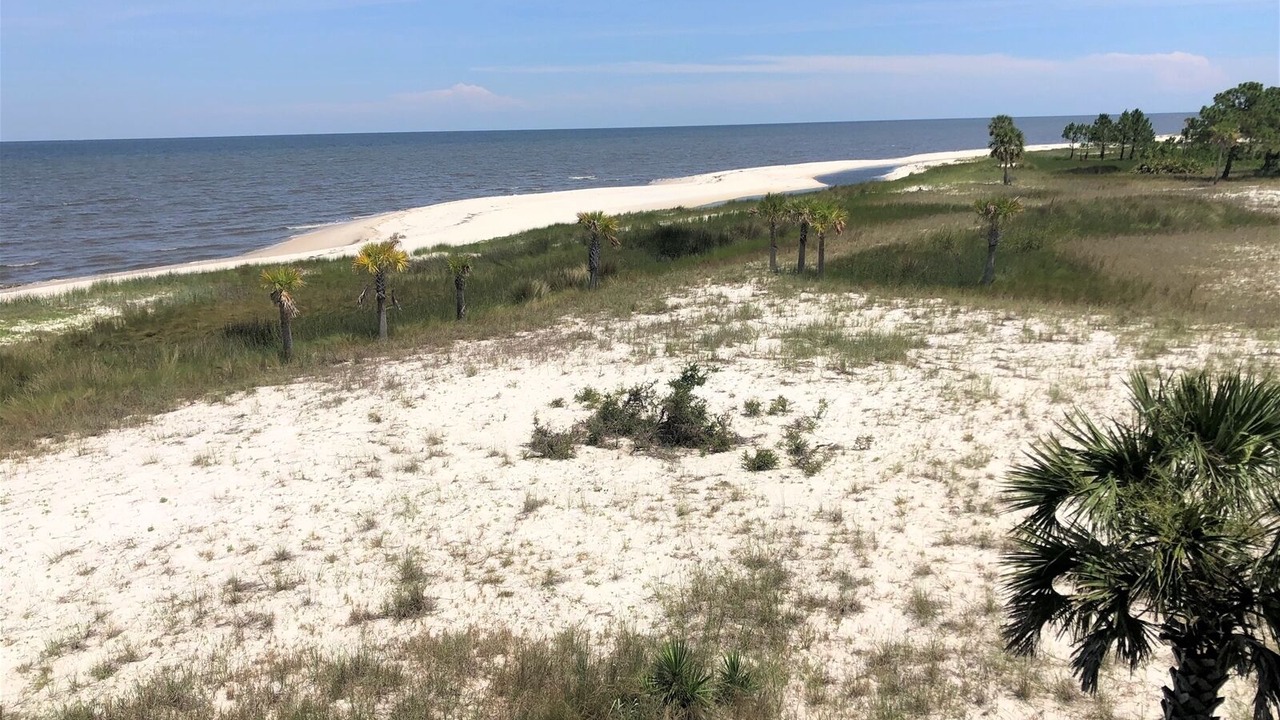 Photo of Others in Alligator Point