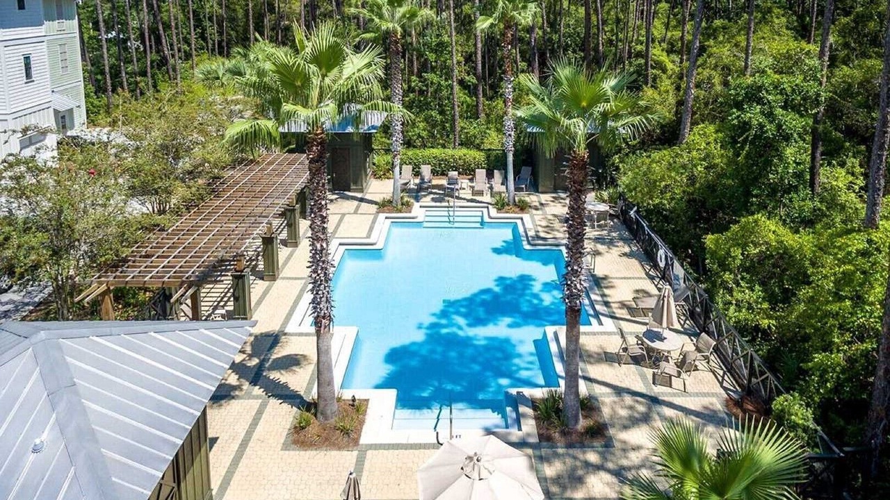 Photo of Outdoor in Treetop