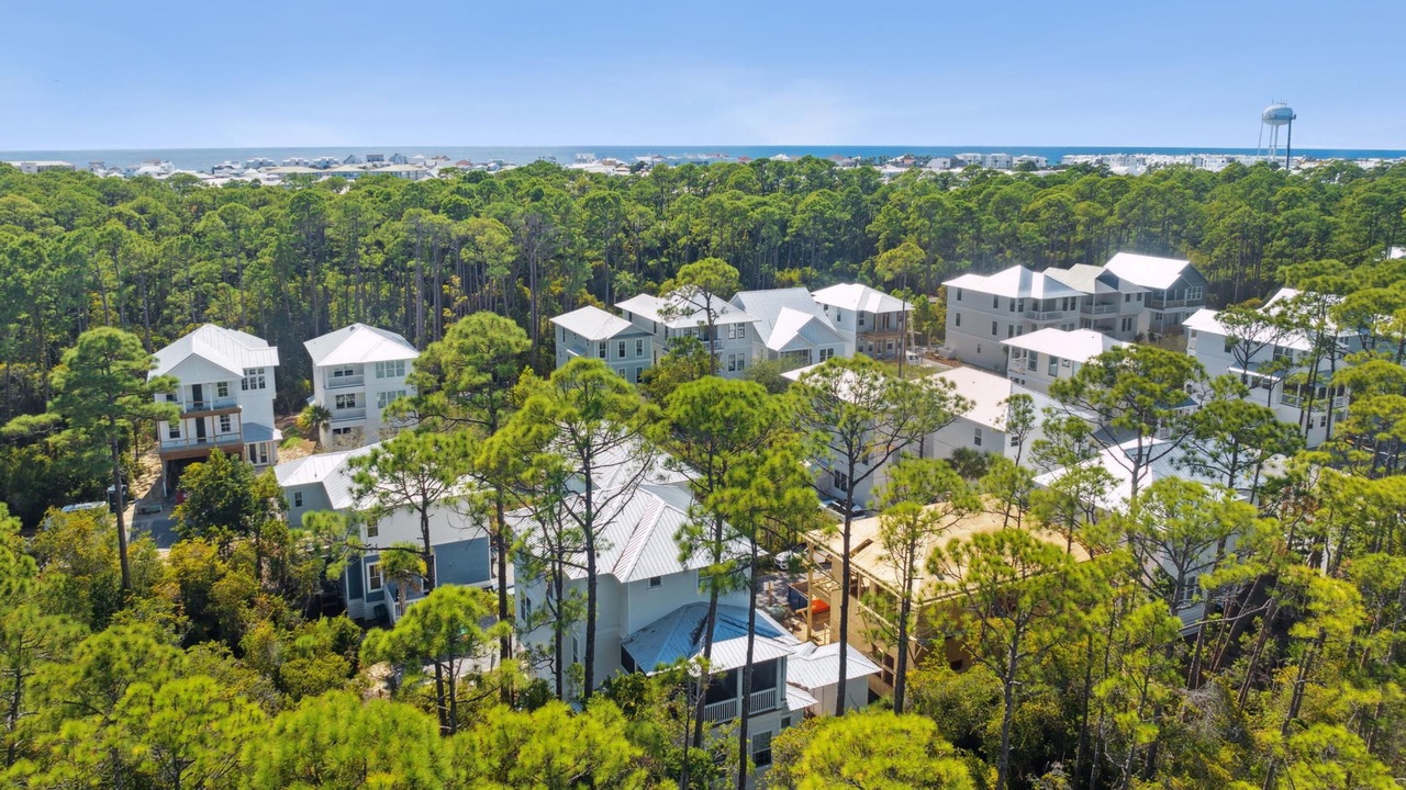 Photo of Outdoor in Treetop