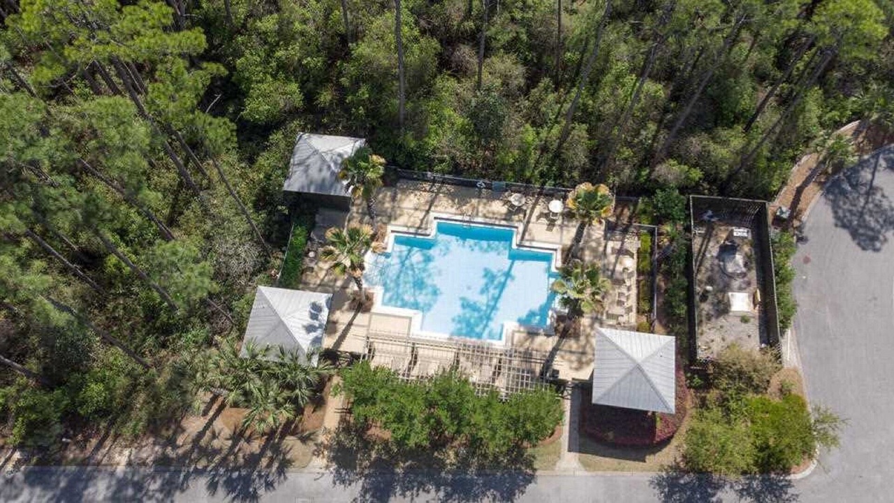 Photo of Outdoor in Treetop