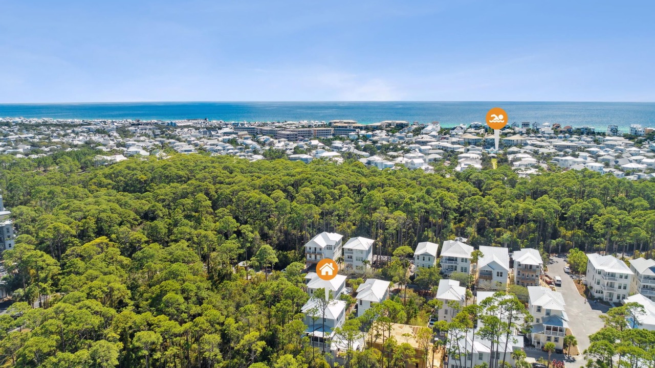 Photo of Outdoor in Treetop