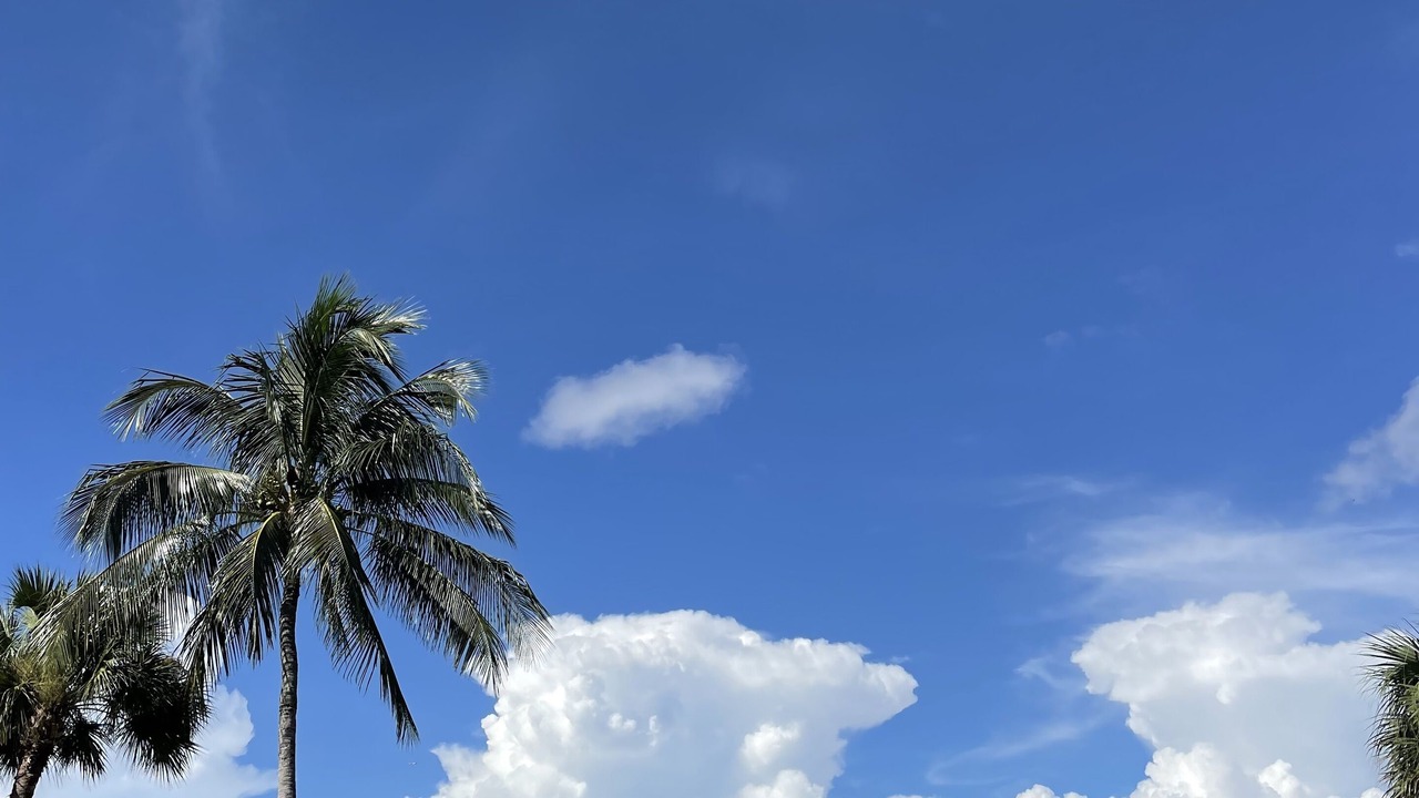 Photo of Others in Tropical Cove