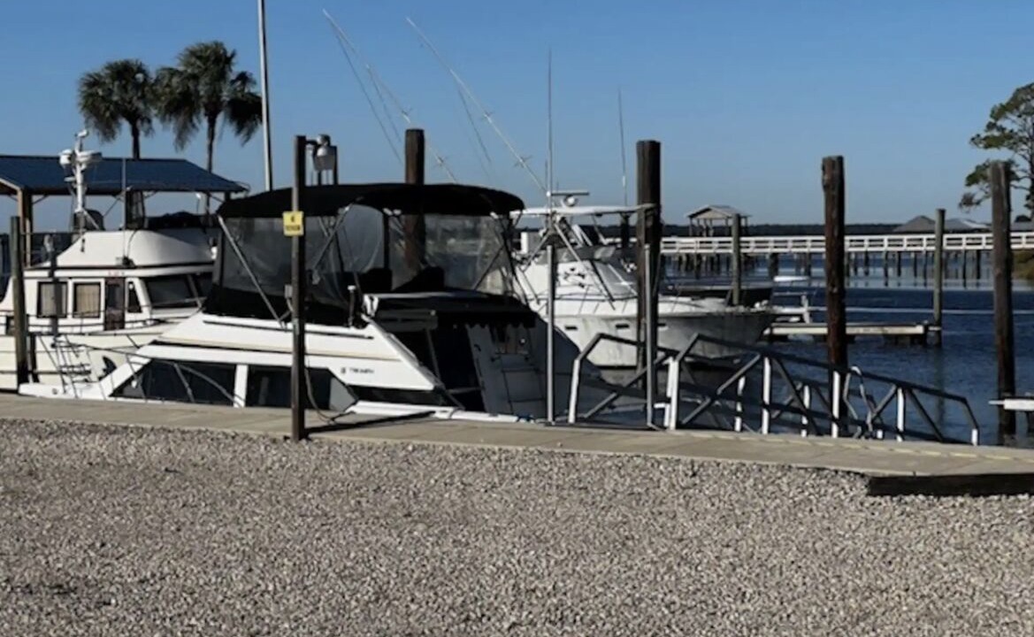 Photo of Others in Ochlockonee Bay