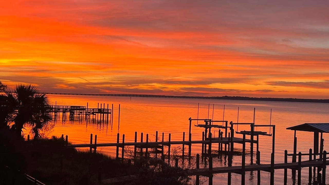 Photo of Others in Ochlockonee Bay
