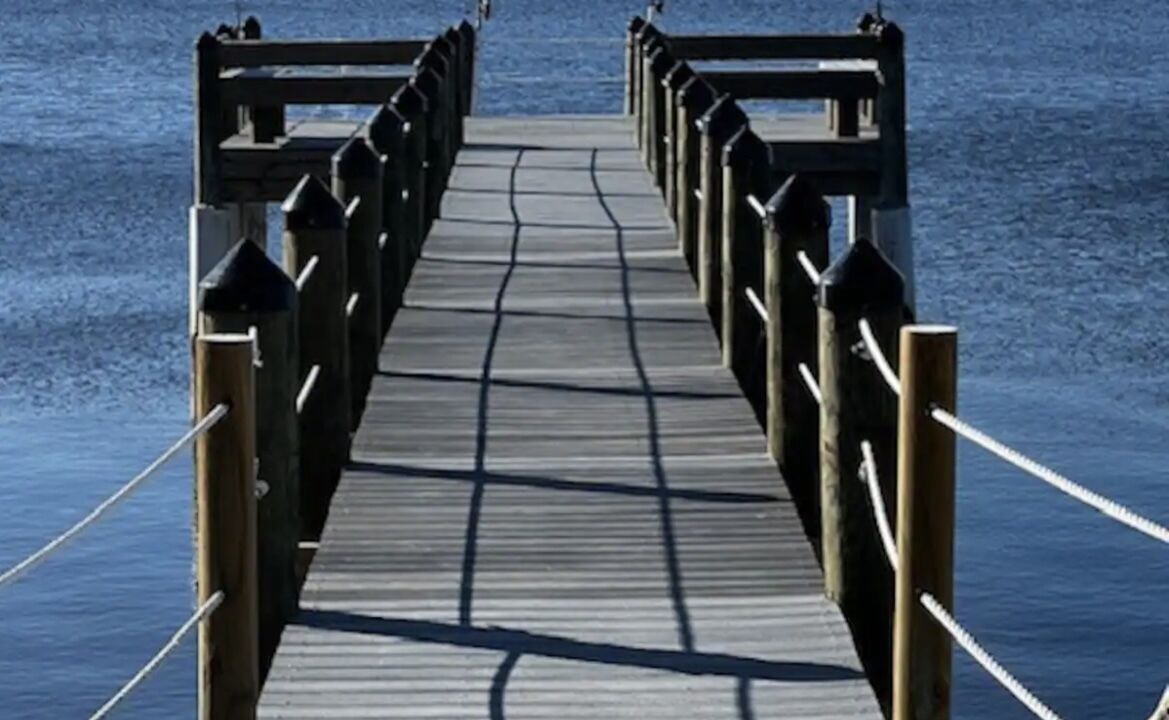 Photo of Others in Ochlockonee Bay
