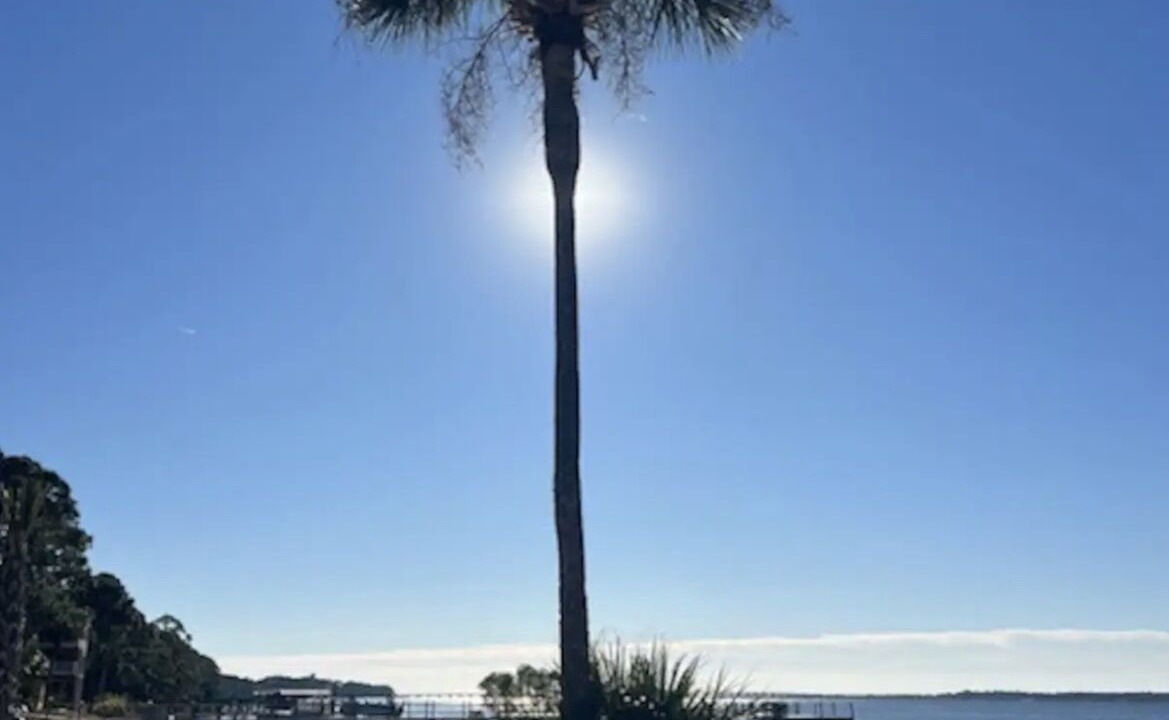 Photo of Outdoor in Ochlockonee Bay