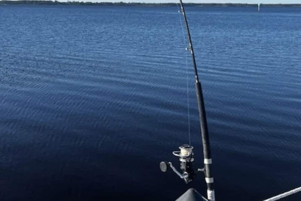 Photo of Others in Ochlockonee Bay