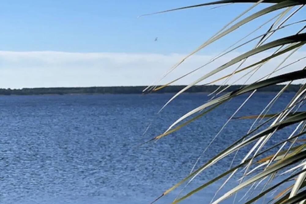 Photo of Others in Ochlockonee Bay