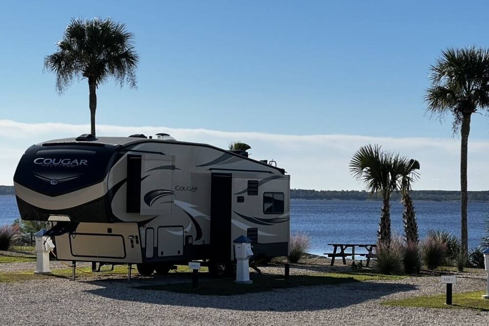 Photo of Outdoor in Ochlockonee Bay