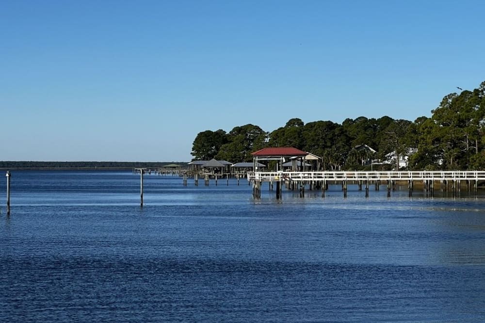 Photo of Others in Ochlockonee Bay