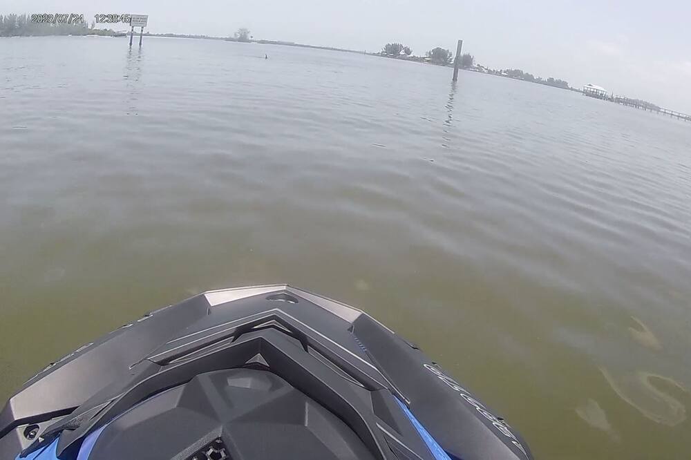 Photo of Outdoor in Port Malabar