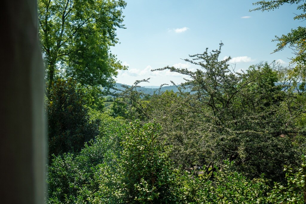 Photo of Outdoor in Redmont Park
