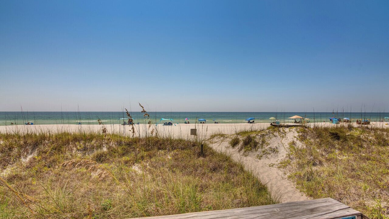 Photo of Others in El Centro Beach