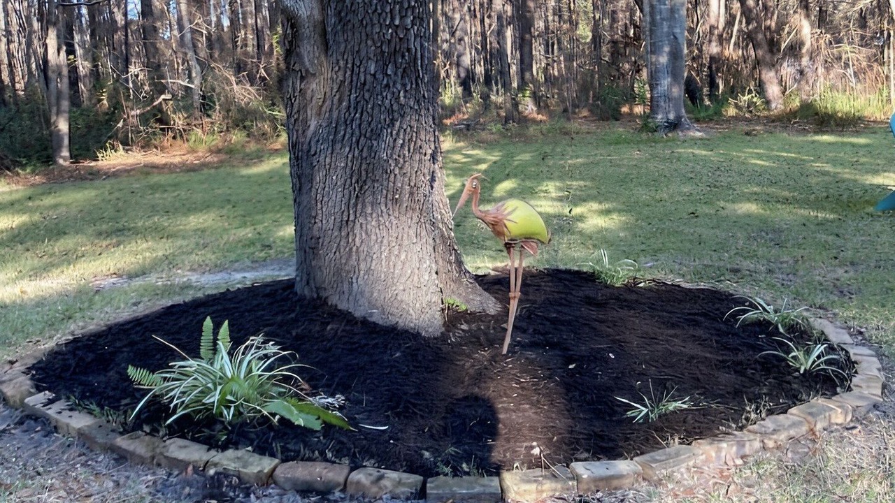 Photo of Outdoor in Ocean Springs