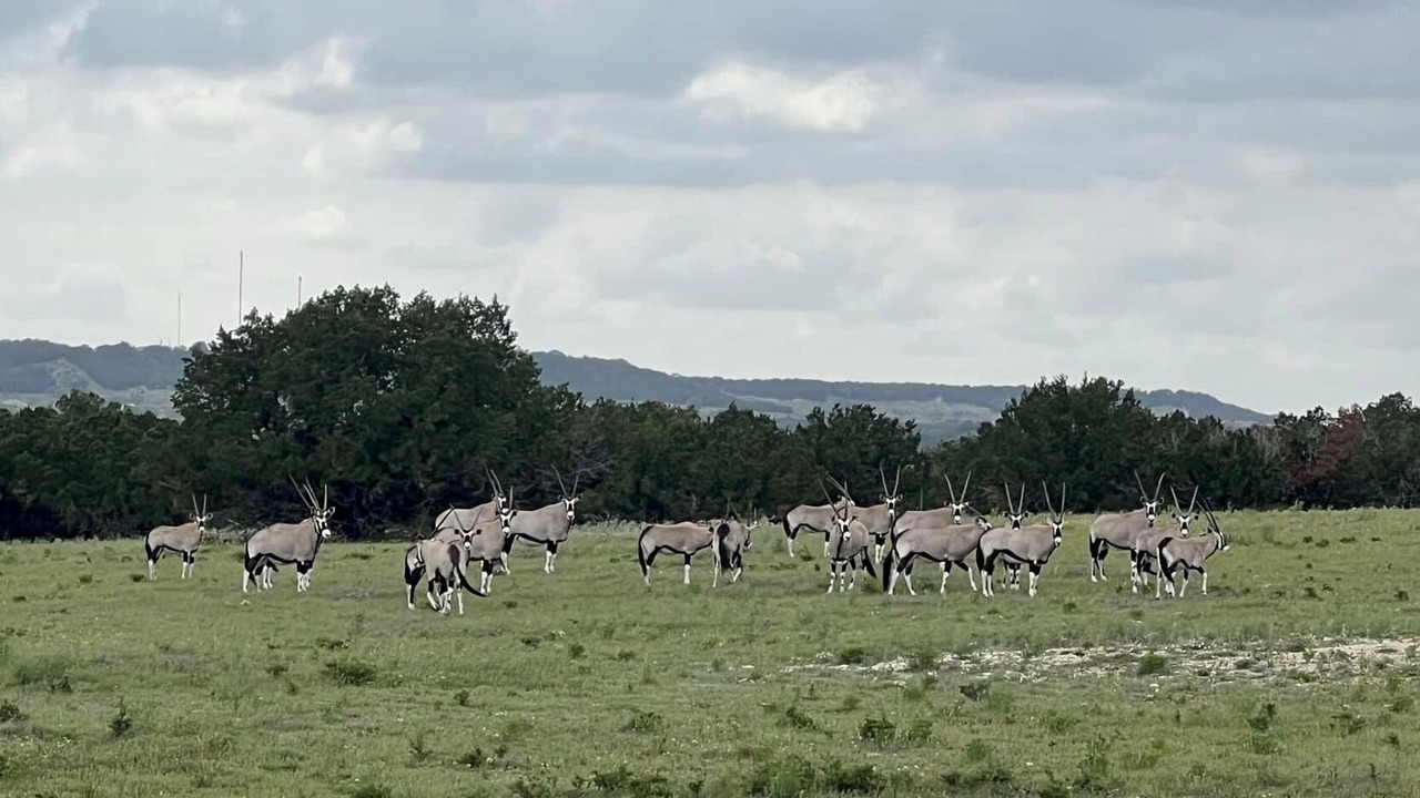 Photo of Others in Lampasas