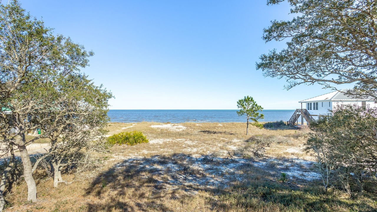 Photo of Outdoor in Alligator Point