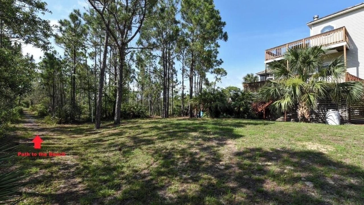 Photo of Outdoor in Plantation